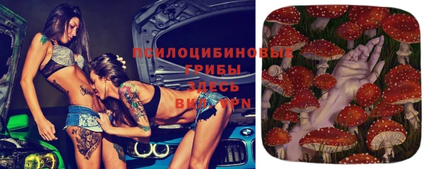 соль ск Заводоуковск
